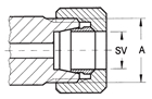 SV