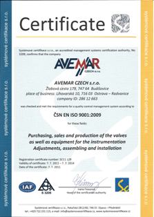 ČSN EN ISO 9001:2009 anglicky